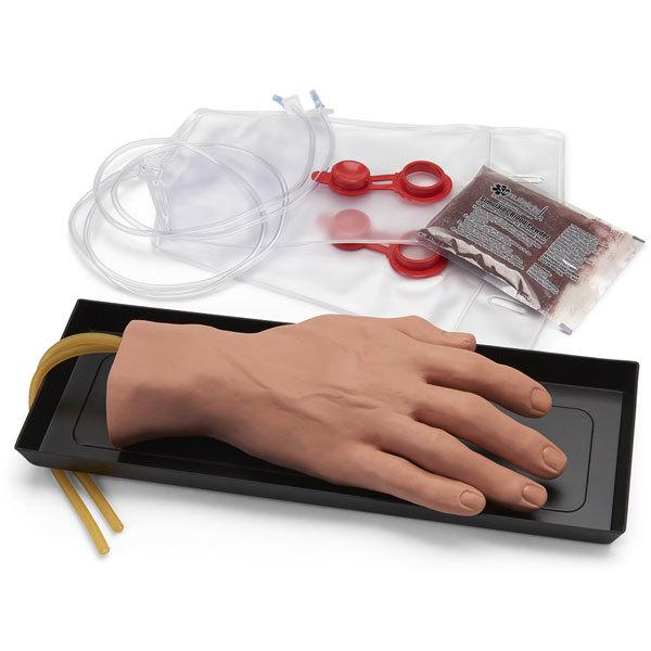IV Training Arm & Hand Set | Nasco | Available from LivCor Australia