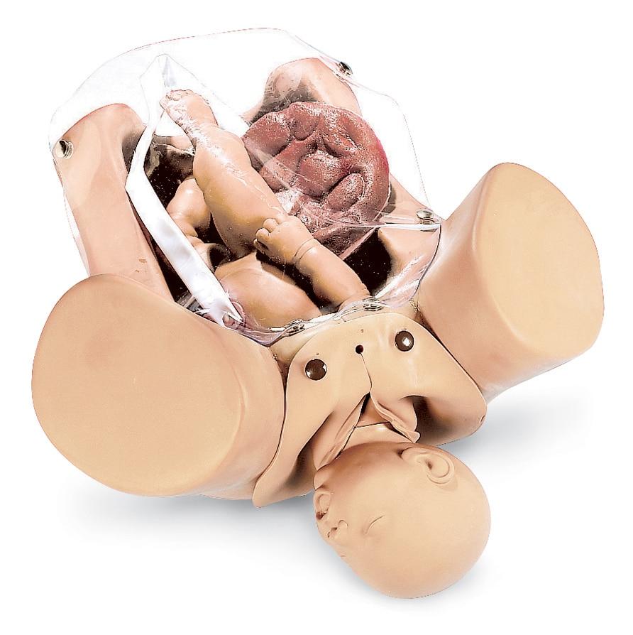 Obstetrical Manikin | Nasco | Available from LivCor Australia