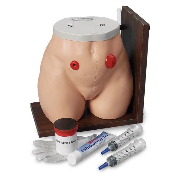 Ostomy Care Simulator | Nasco | Available from LivCor Australia