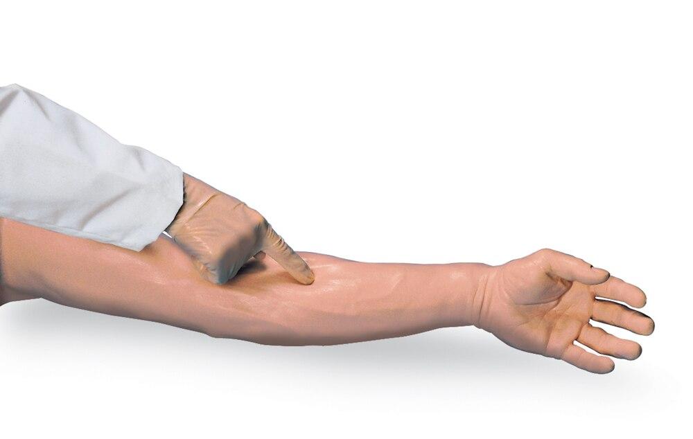 Venipuncture and Injection Demonstration Arm | Nasco | Available from LivCor Australia